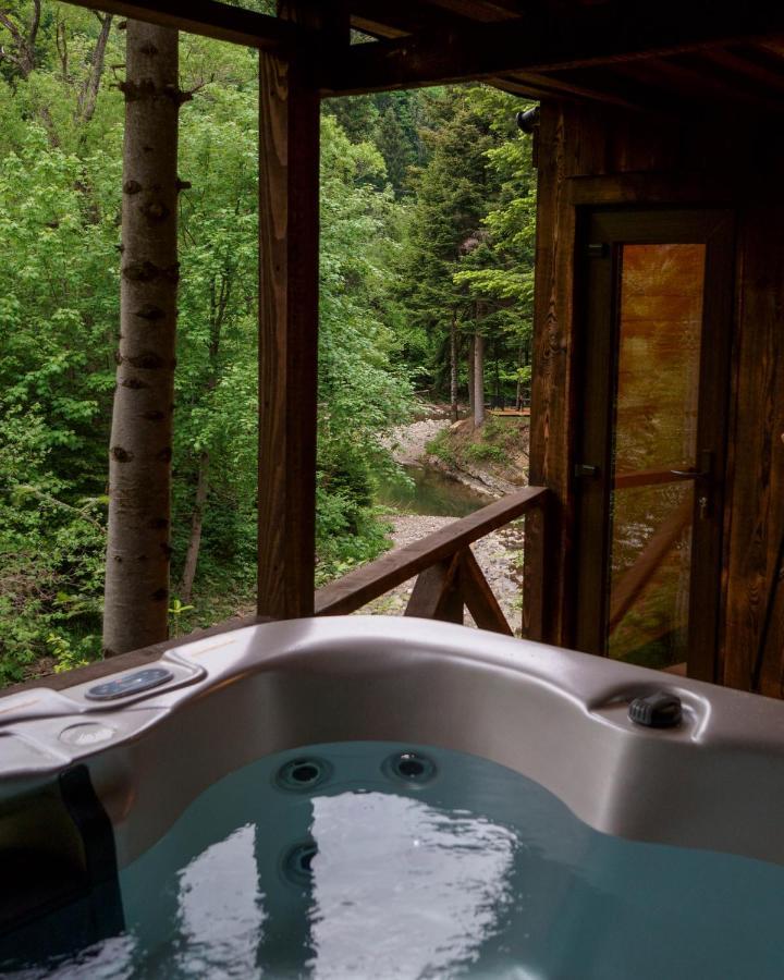 Novosiele Residence - Nad Gorska Rzeka - Lesne Spa Sauna Jacuzzi - Bieszczady Bystre  Exterior foto